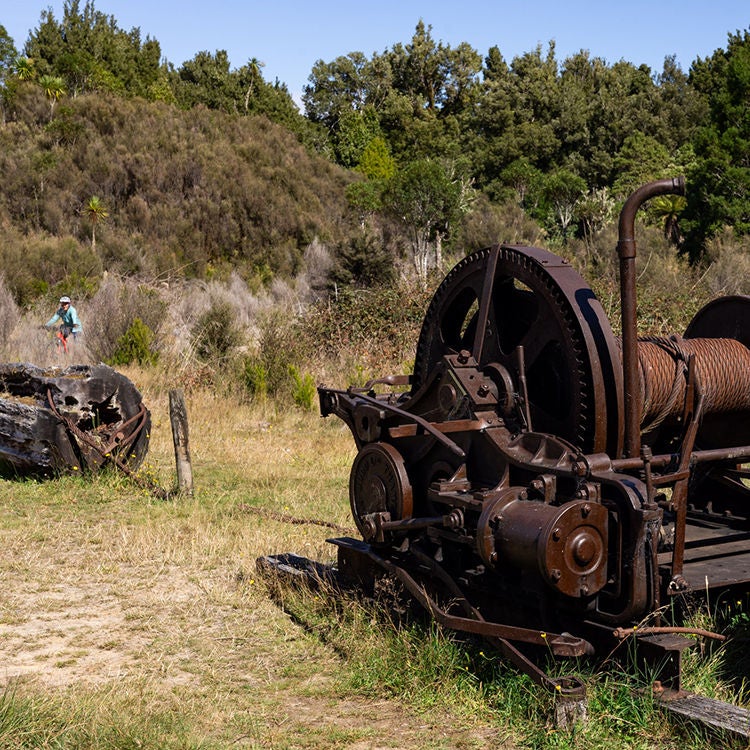 Logging relics along the Timber Trail. Photo by Alice Veysey.