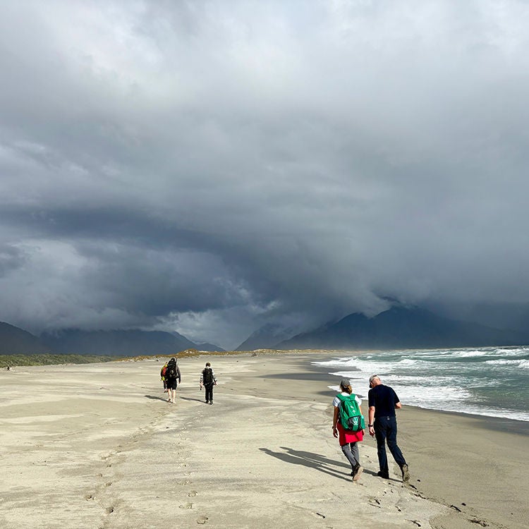 Moody views in Martins Bay, Fiordland. Photo by Jo Percival.