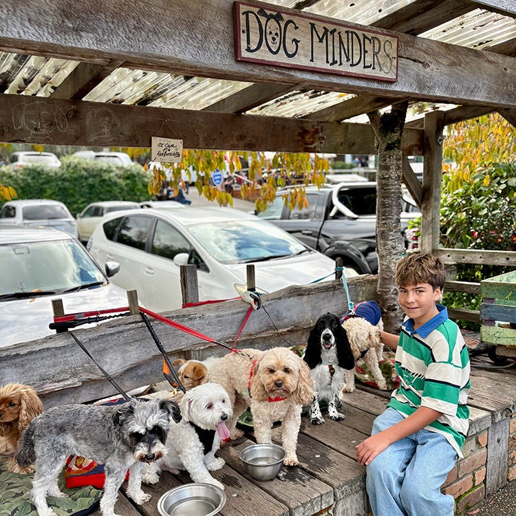 A Matakana Farmers Market dog minder.