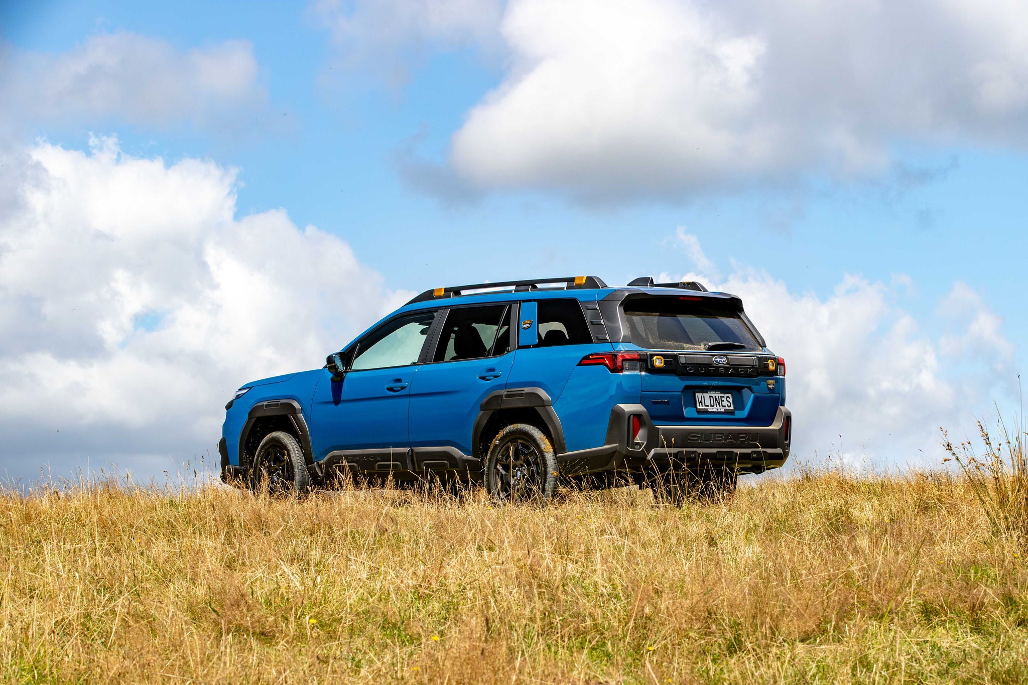 Subaru Outback in a field