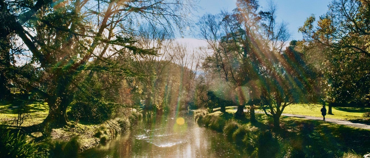 Avon River, Christchurch