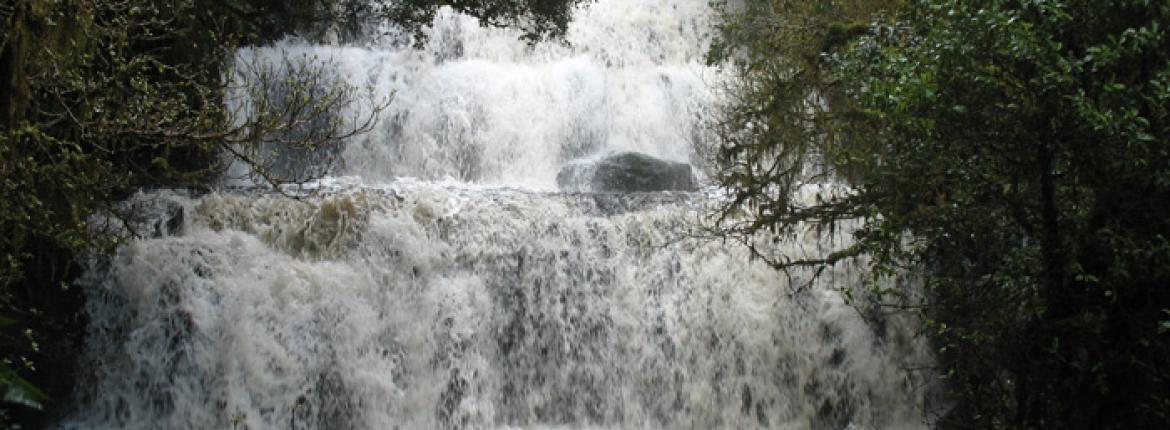 catlins-waterfall.jpg