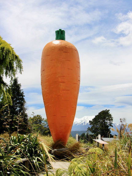Ohakune carrot INP