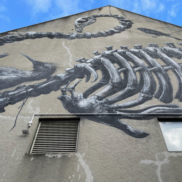 Christchurch Street Art Roa's Moa