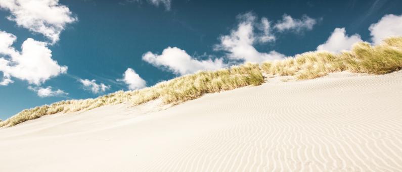 Farewell Spit sand dune