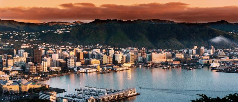 Wellington City sunrise