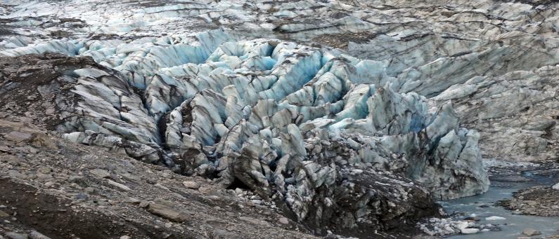 Glacier face ice – Fox Glacier Valley Walk 