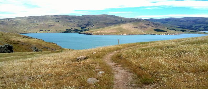 The Godley Head Track in the Port Hills 