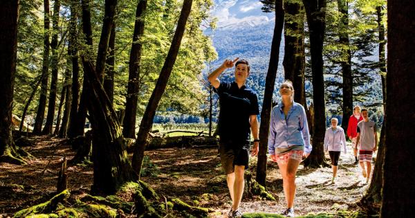 Explore the walking trails Glenorchy | New Zealand