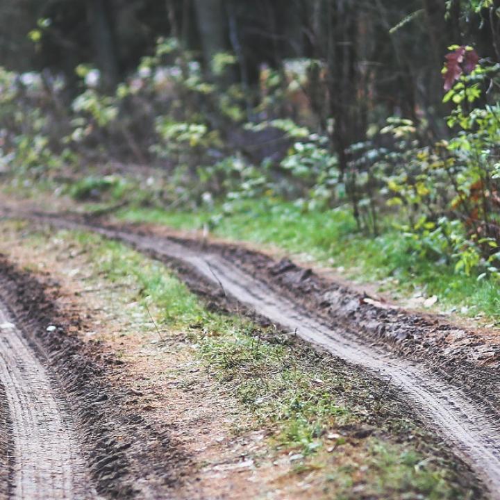 A beginner's guide to off-roading
