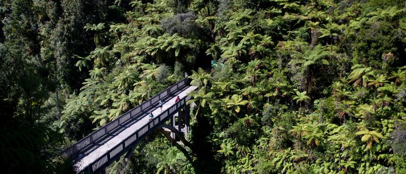 The Bridge to Nowhere, Whanganui