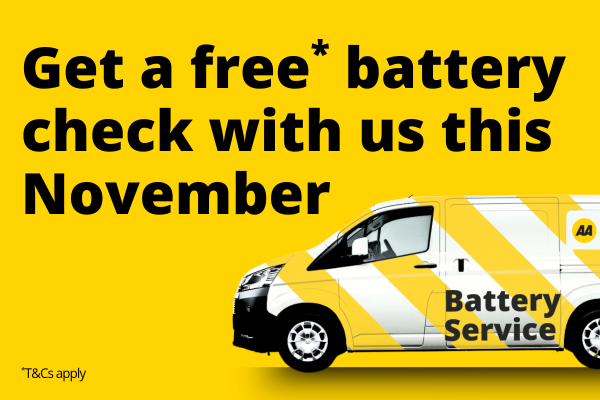 Free Battery Check 