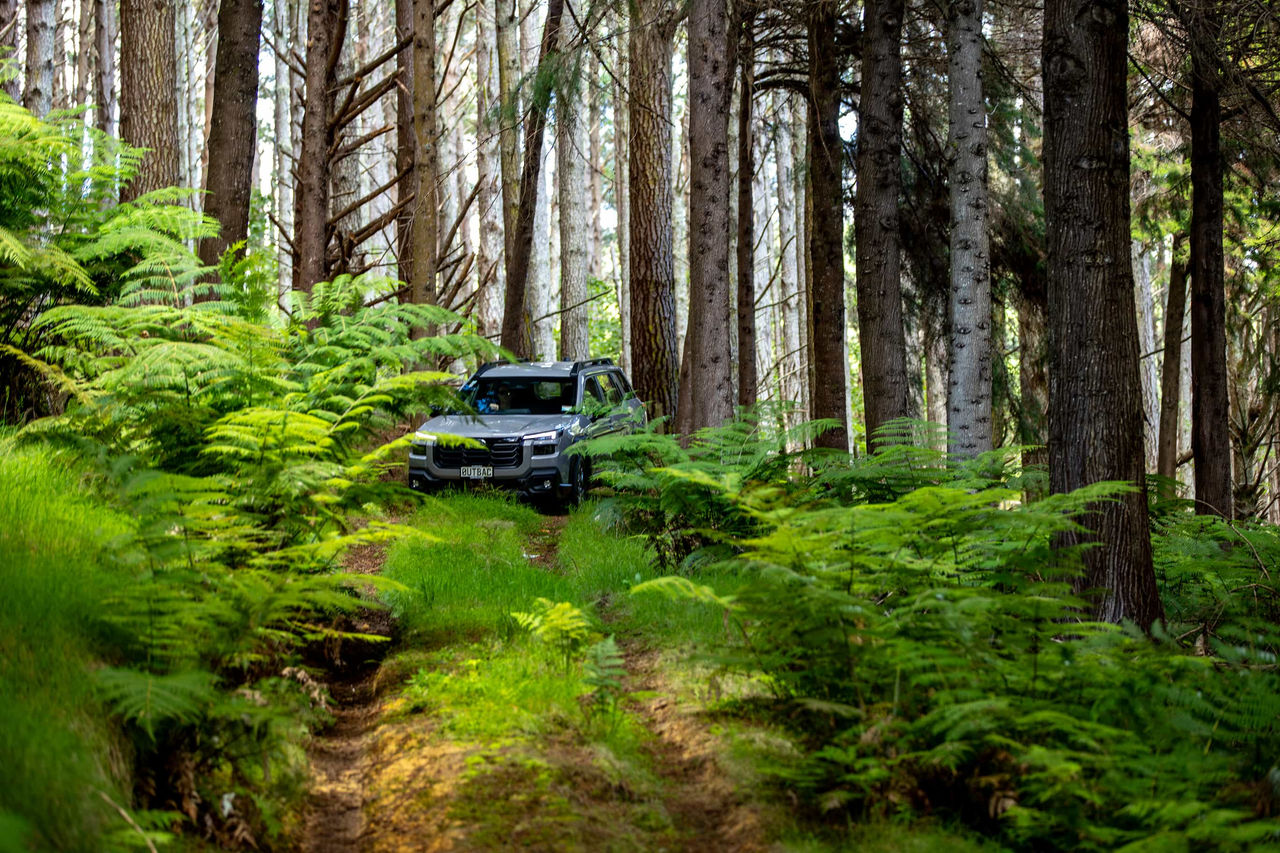 Subaru Outback driving around the forest track