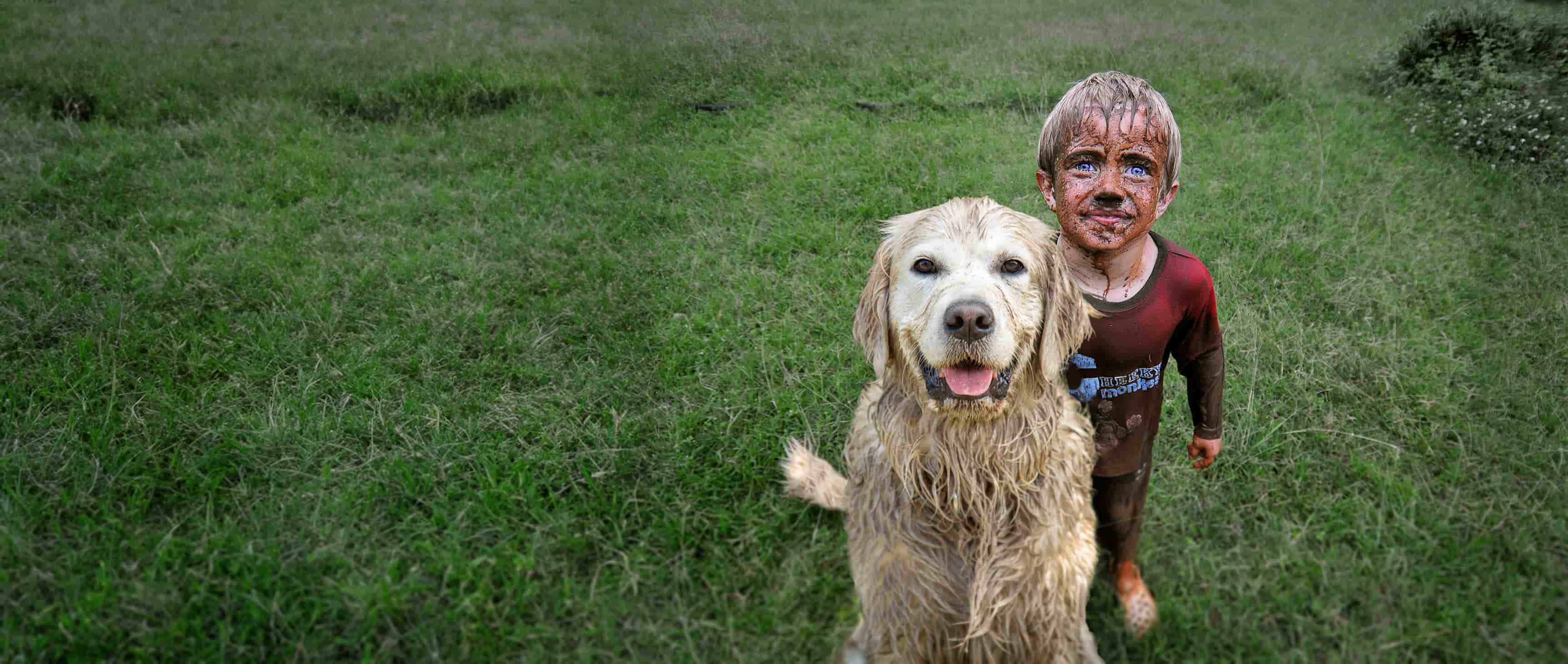 Boy with muddy face and dog on grass
