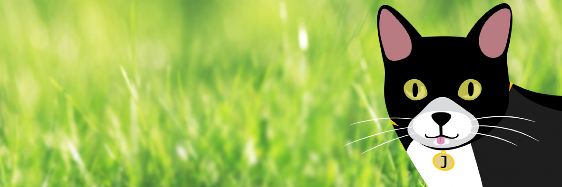 'Jinx' the Cat and common treatment costs