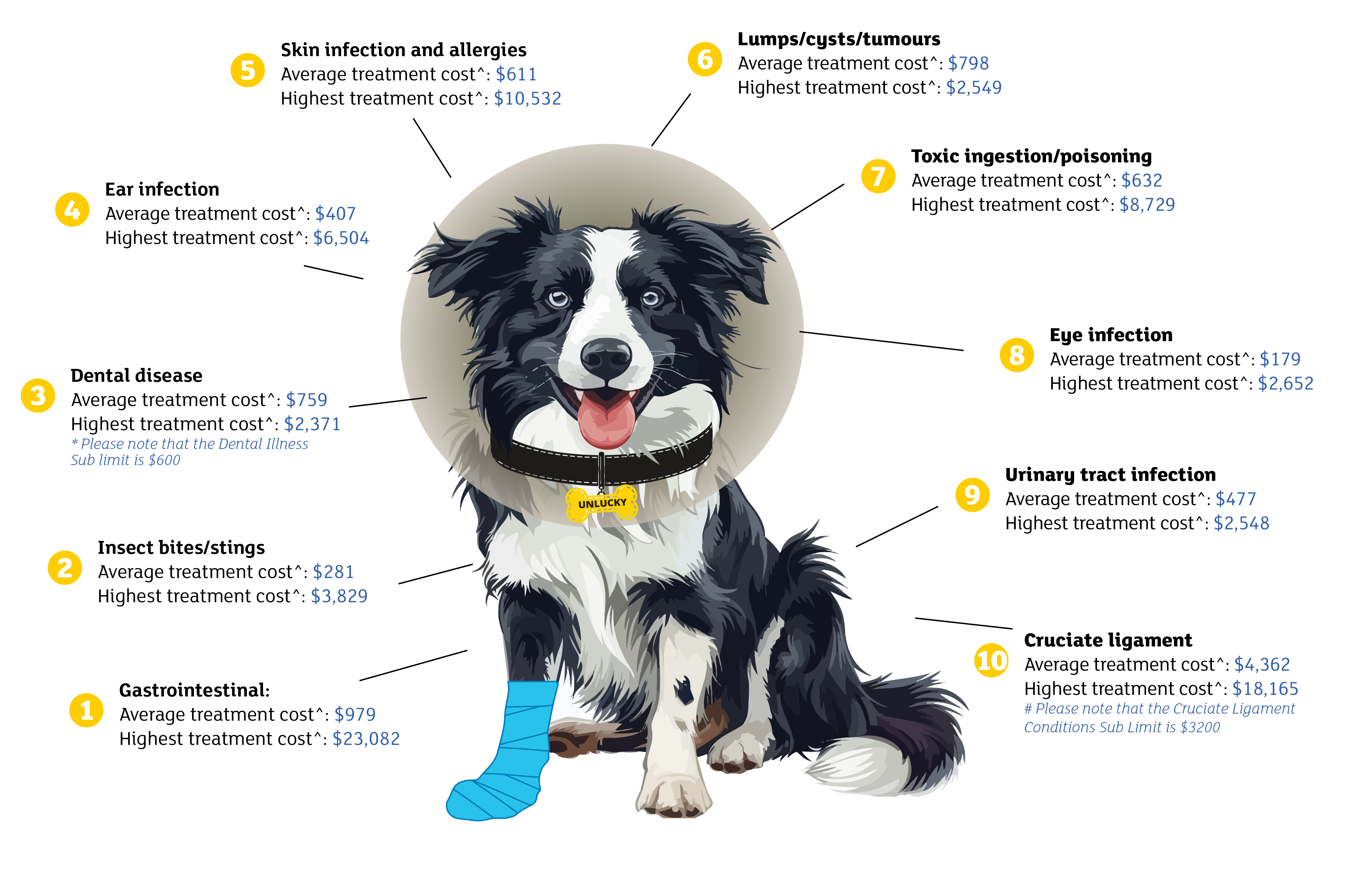 'Unlucky' the dog - here to highlight some common treatment costs