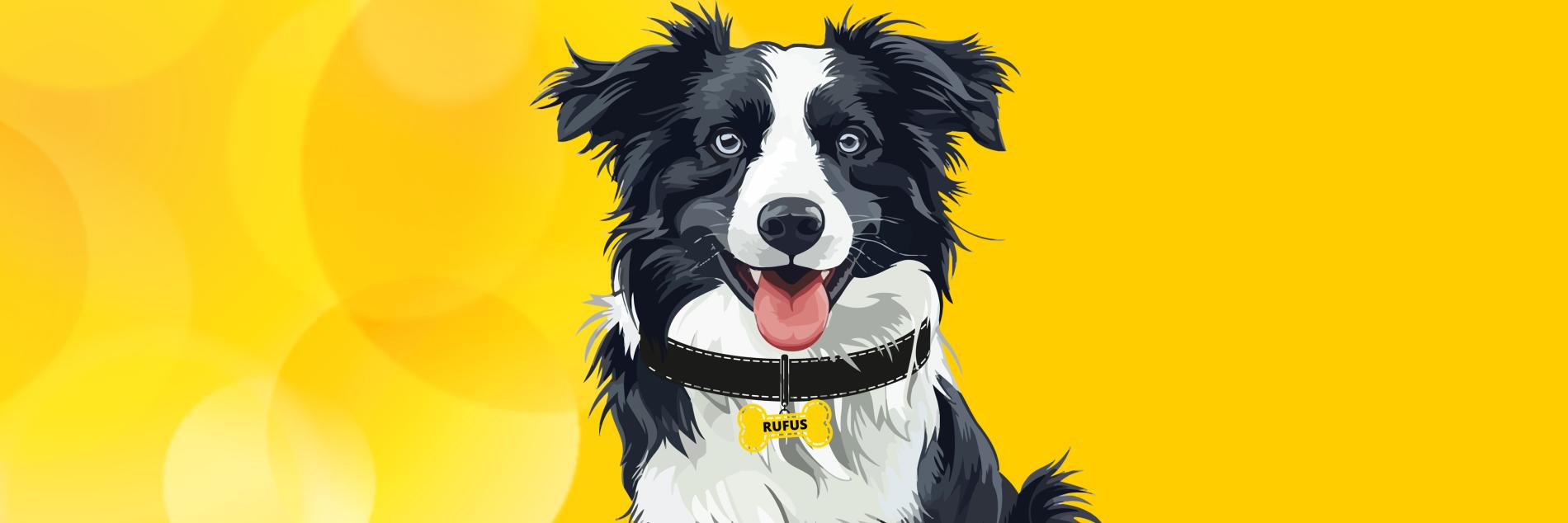 The Woofer WoF with Rufus