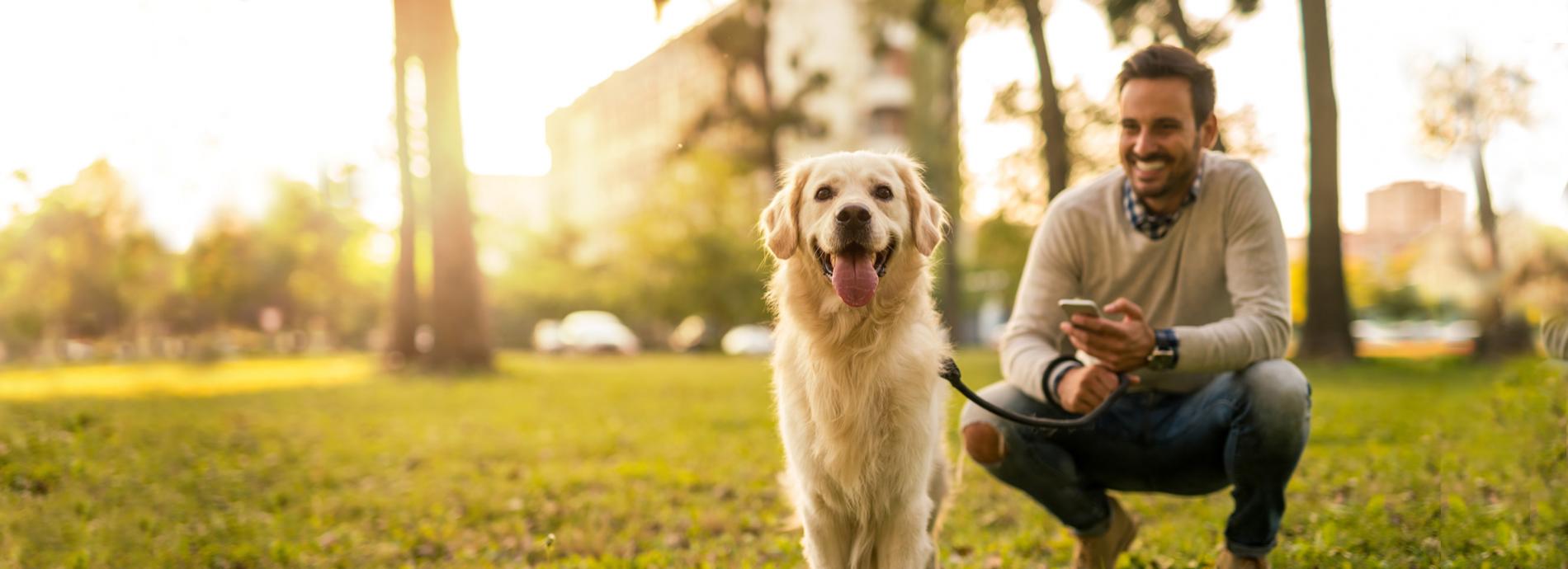 A man happily looking at this golden retriever dog
