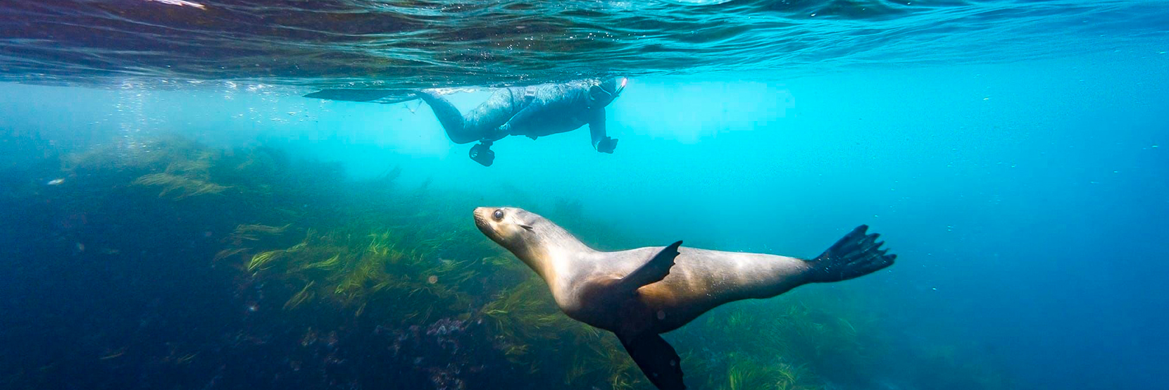 Exploring Southern New South Wales