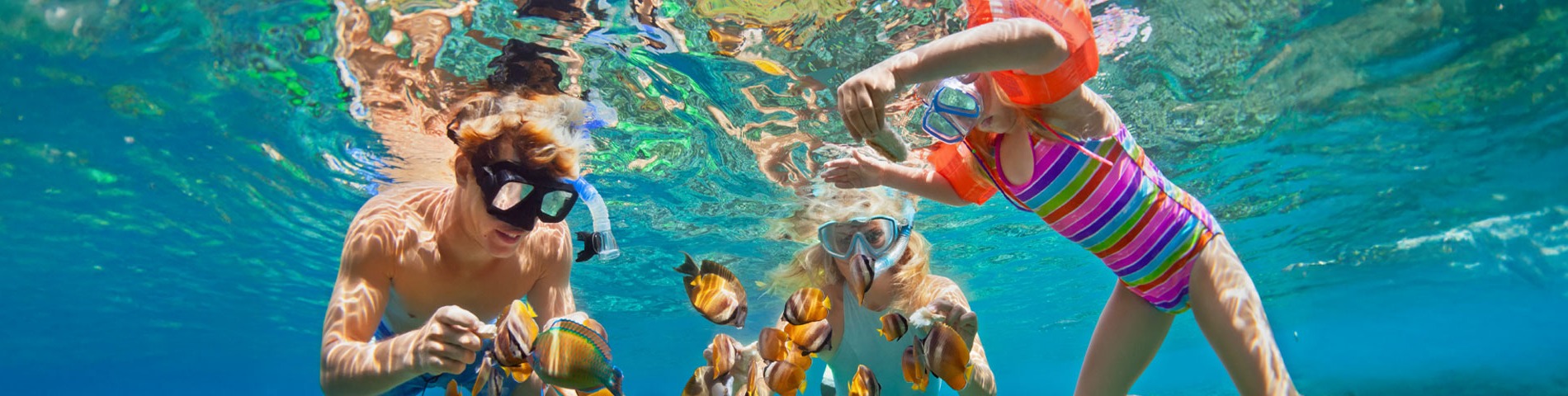 Family snorkelling with fish
