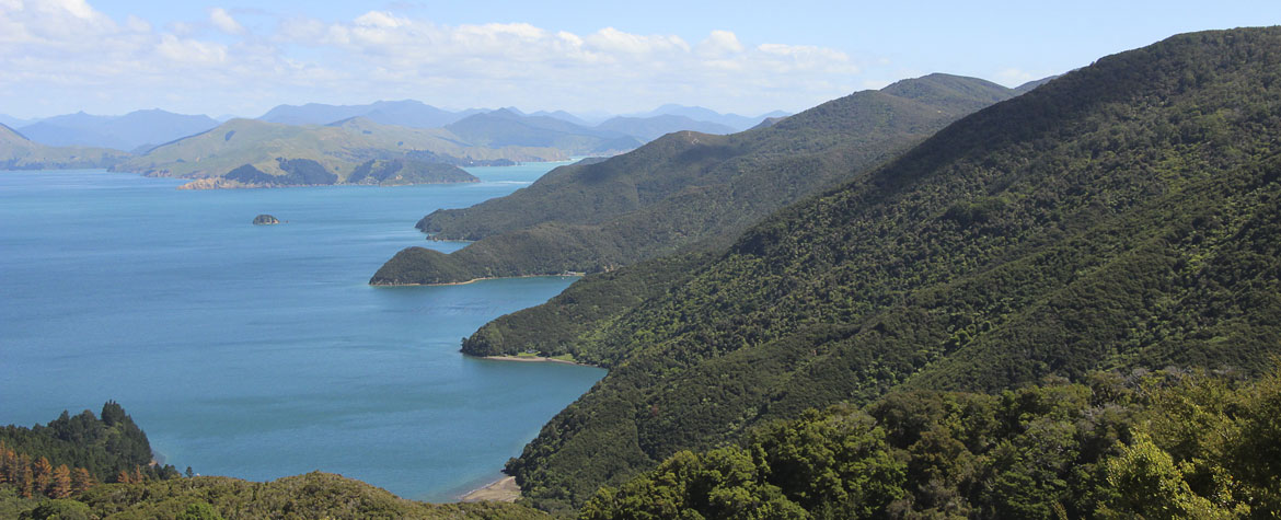 D'Urville Island: sea, sky and scenery