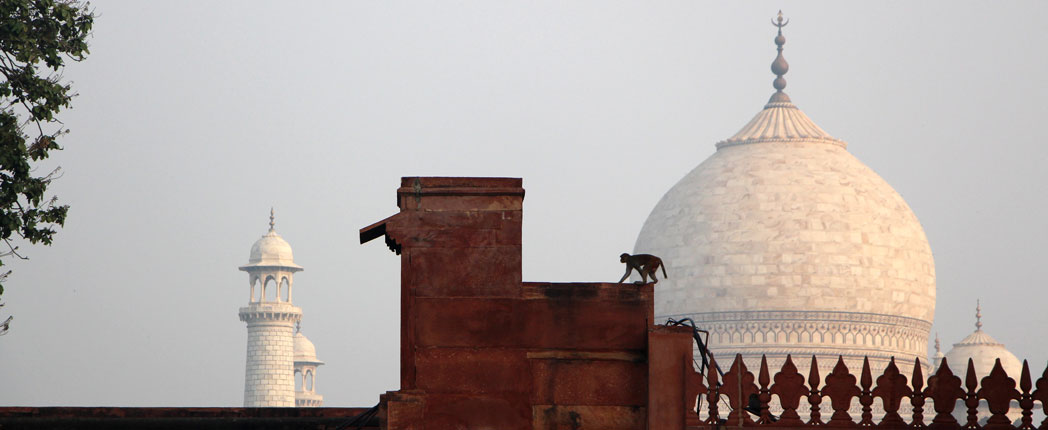 A fine-tuned lens in India