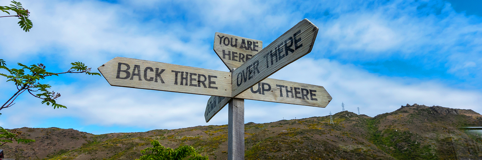 The naming process of New Zealand roads