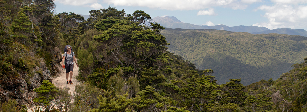 Magnificent Heaphy Track
