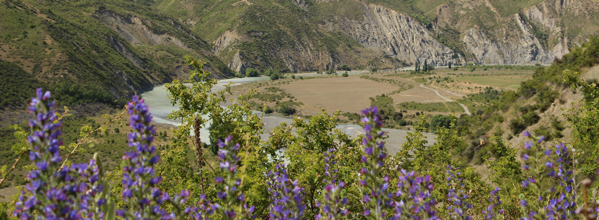 Muzzle Station: The back of beyond