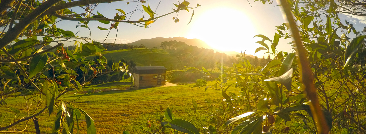 Secrets of New South Wales