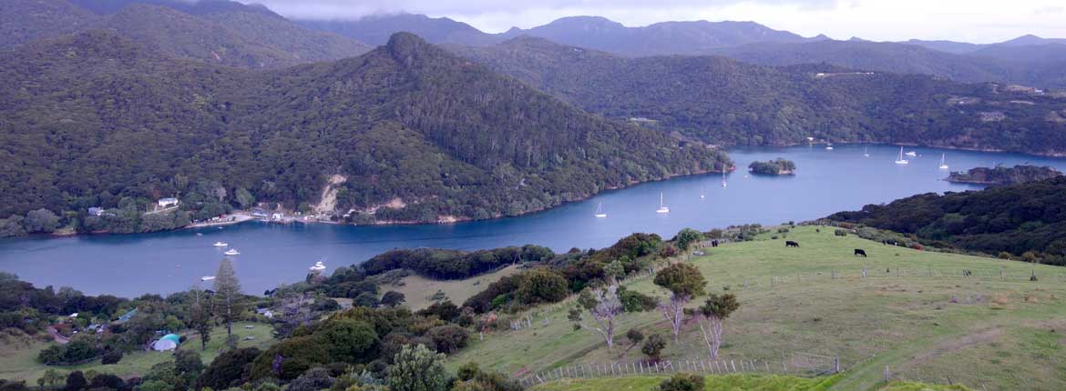 Back in time on Great Barrier Island