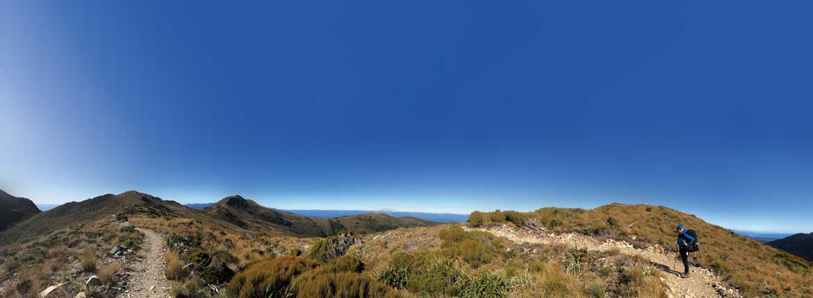 Paparoa Track: Close to the sky