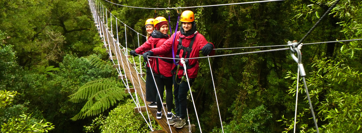 Above & beyond in Rotorua