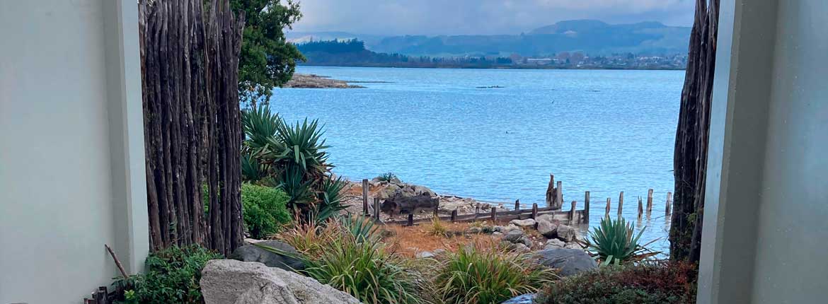 Taking the waters of Rotorua