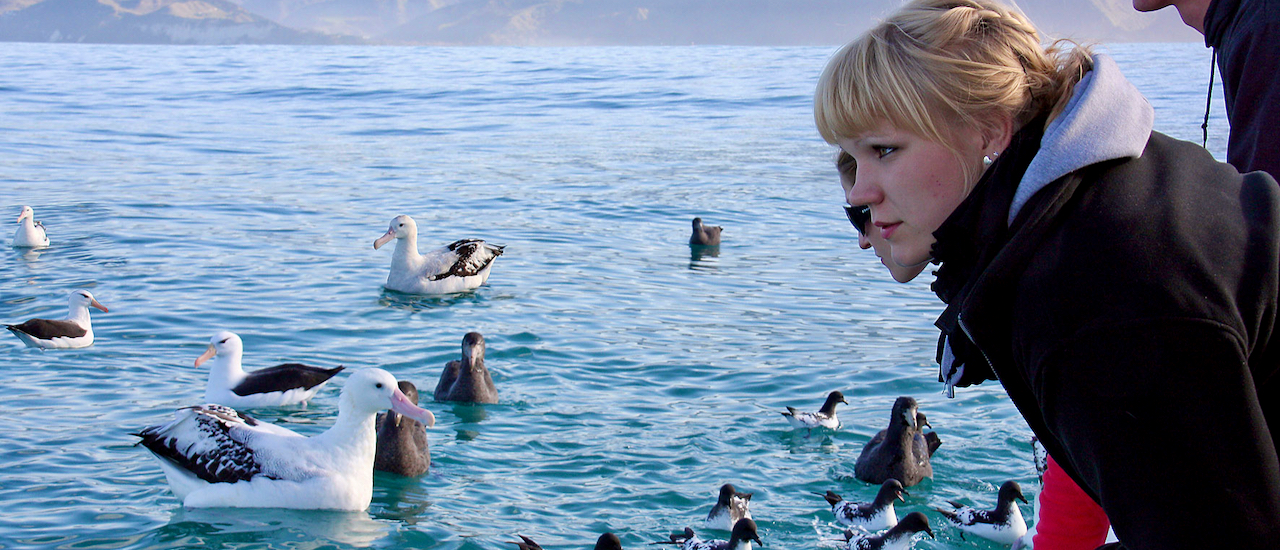 Exploring the secret spots of inland Kaikōura