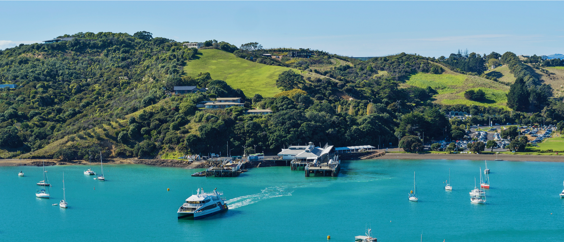 Waiheke Island: home away from home