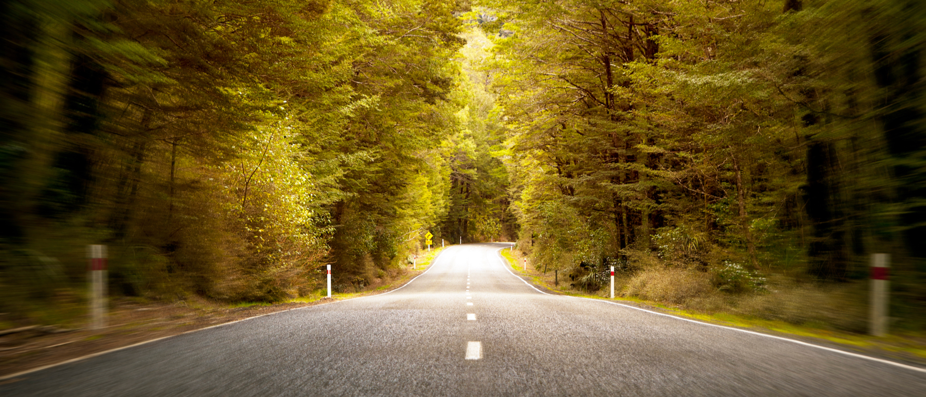 How to avoid a head-on car crash