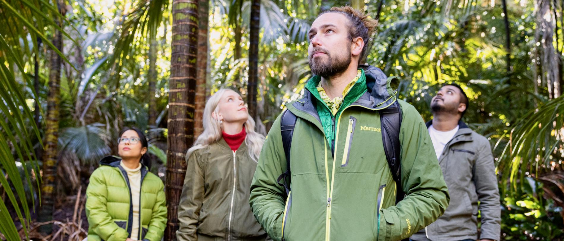 Live well: forest bathing in Auckland