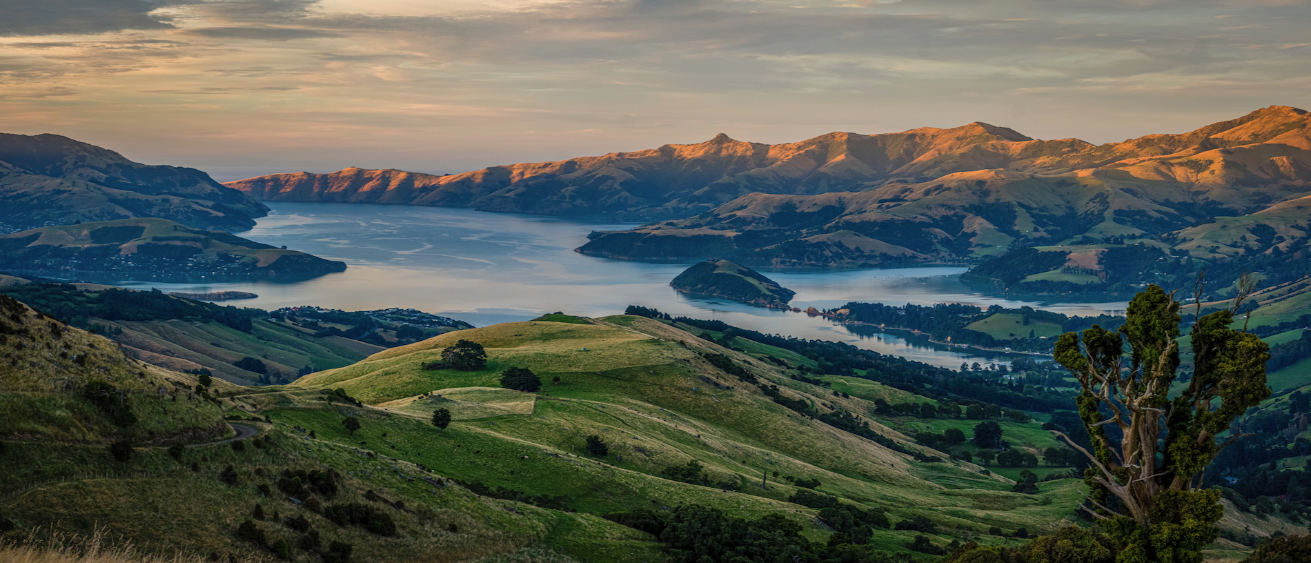 Road Trip: Christchurch to Akaroa