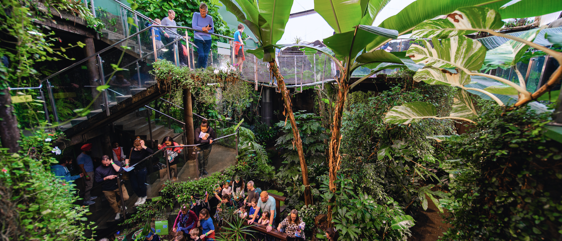 A family getaway in Ōtepoti Dunedin