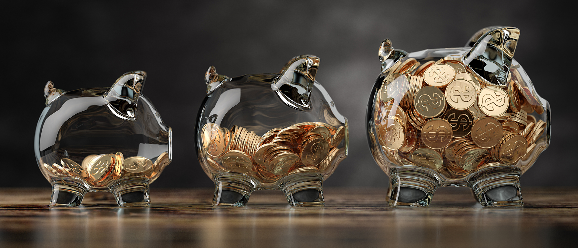 Everything you need to know about investing