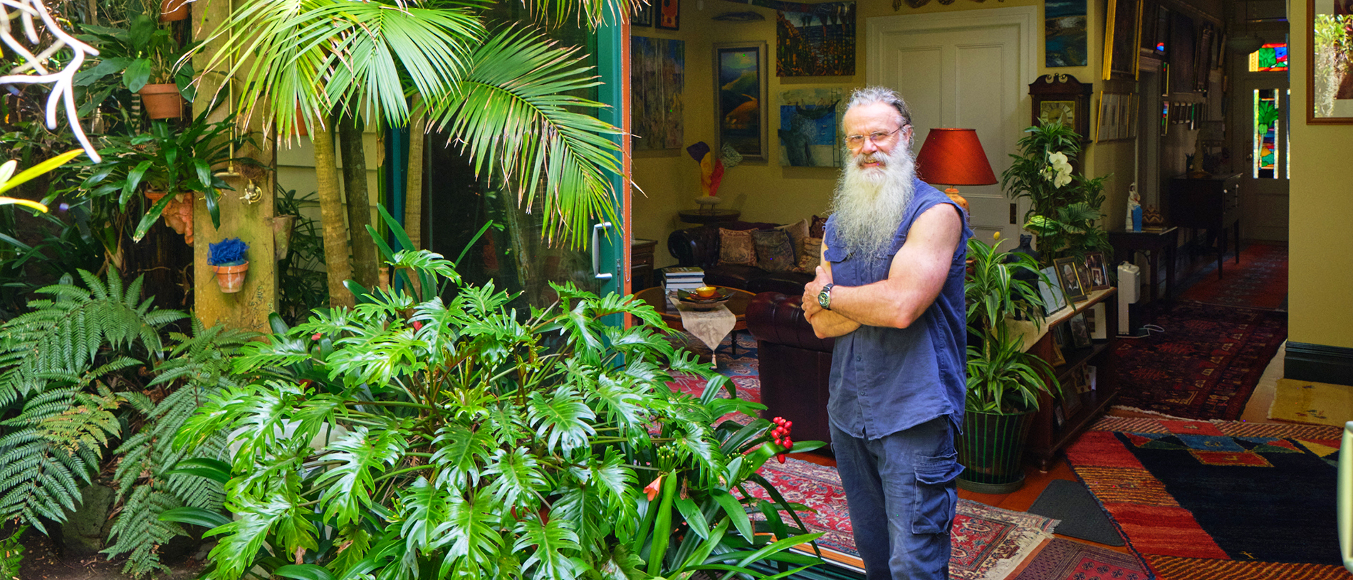 An urban garden oasis in Auckland