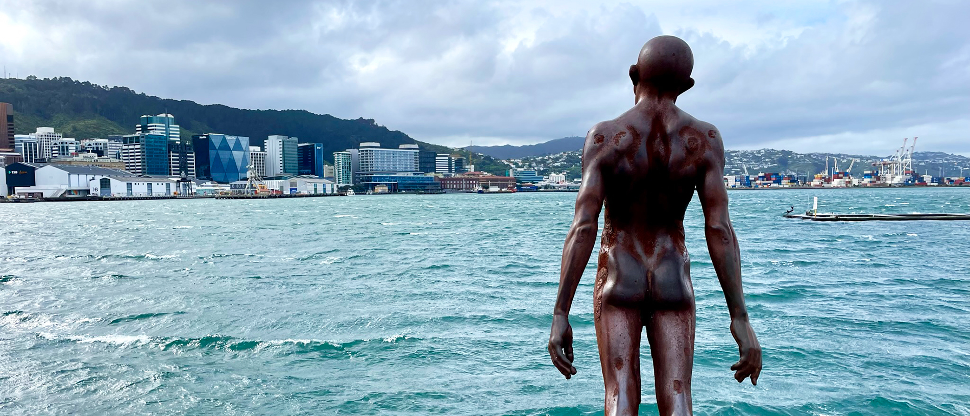 Discover a different side to Wellington City