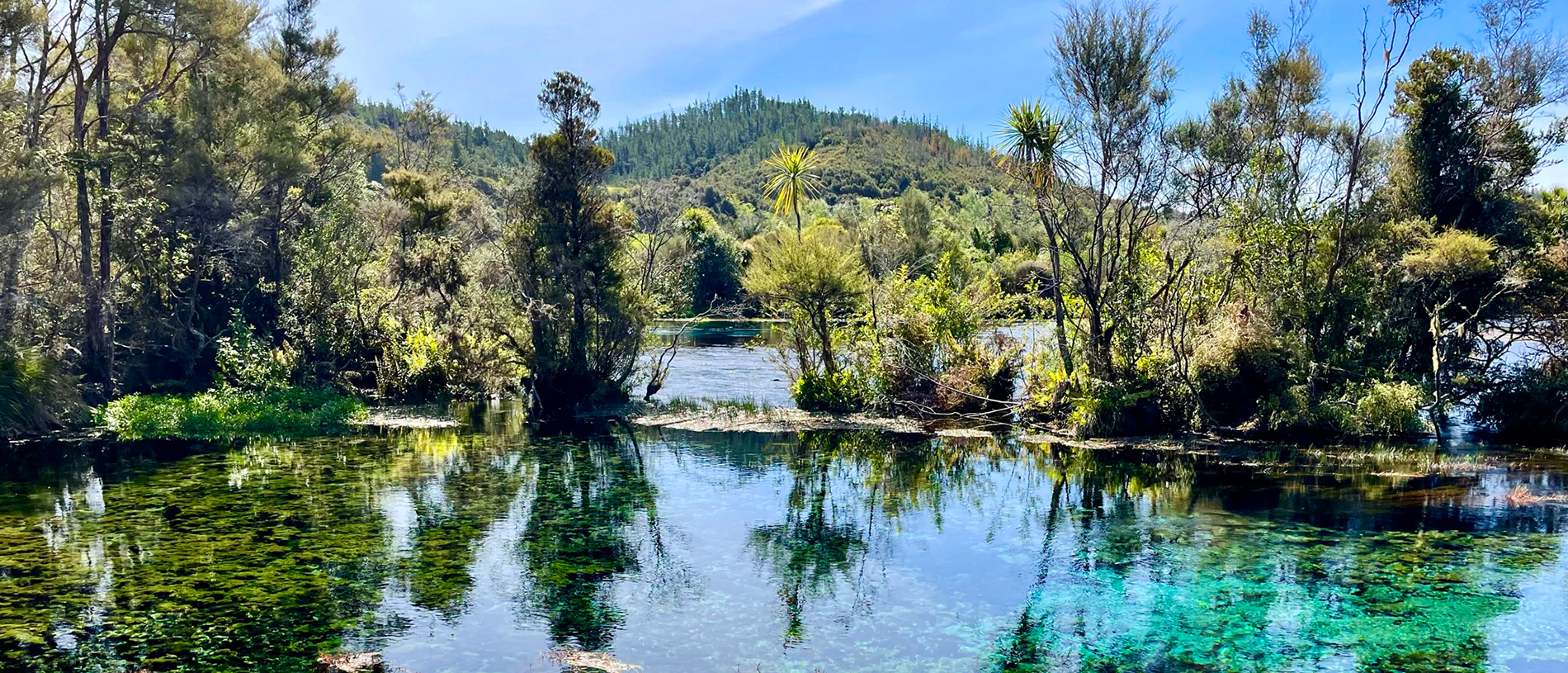 Road trip: Wellington to Golden Bay