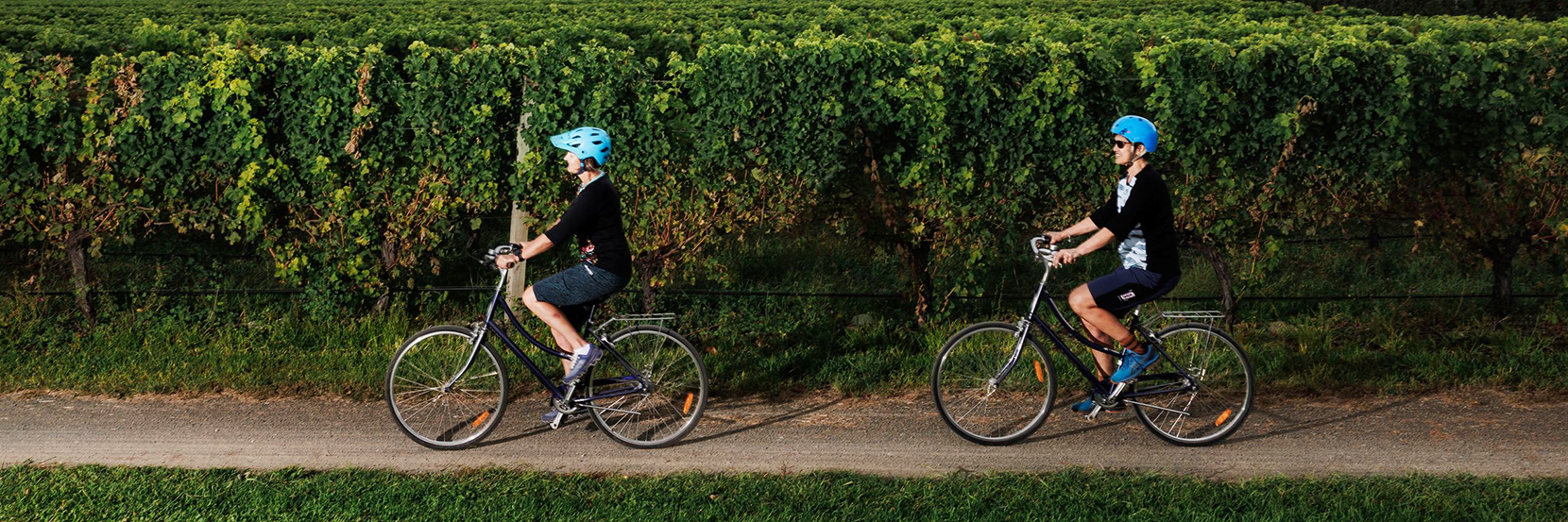 Cycling, sailing and hiking in the Tasman District