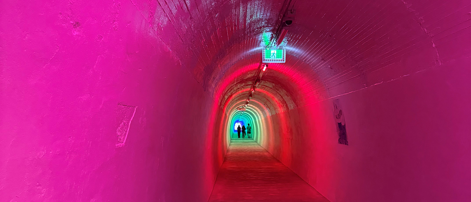 Whanganui: creative immersion