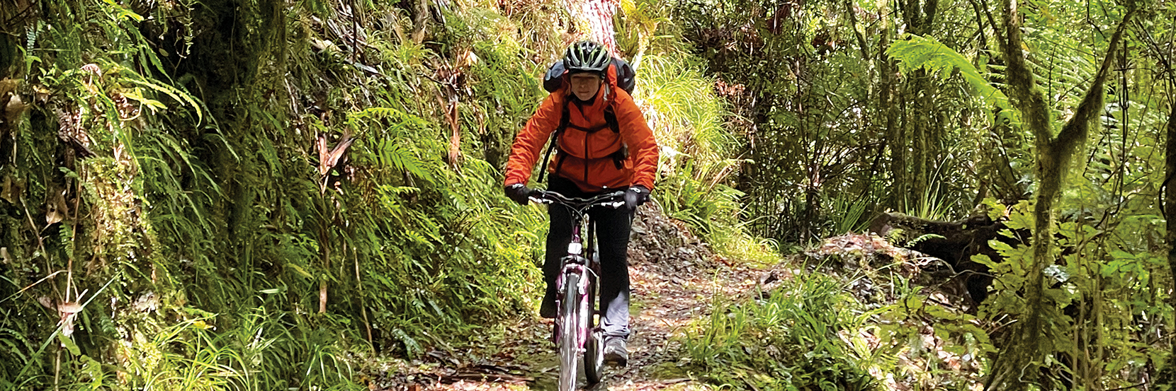 The Pakihi Track: remote cycling in Tairāwhiti