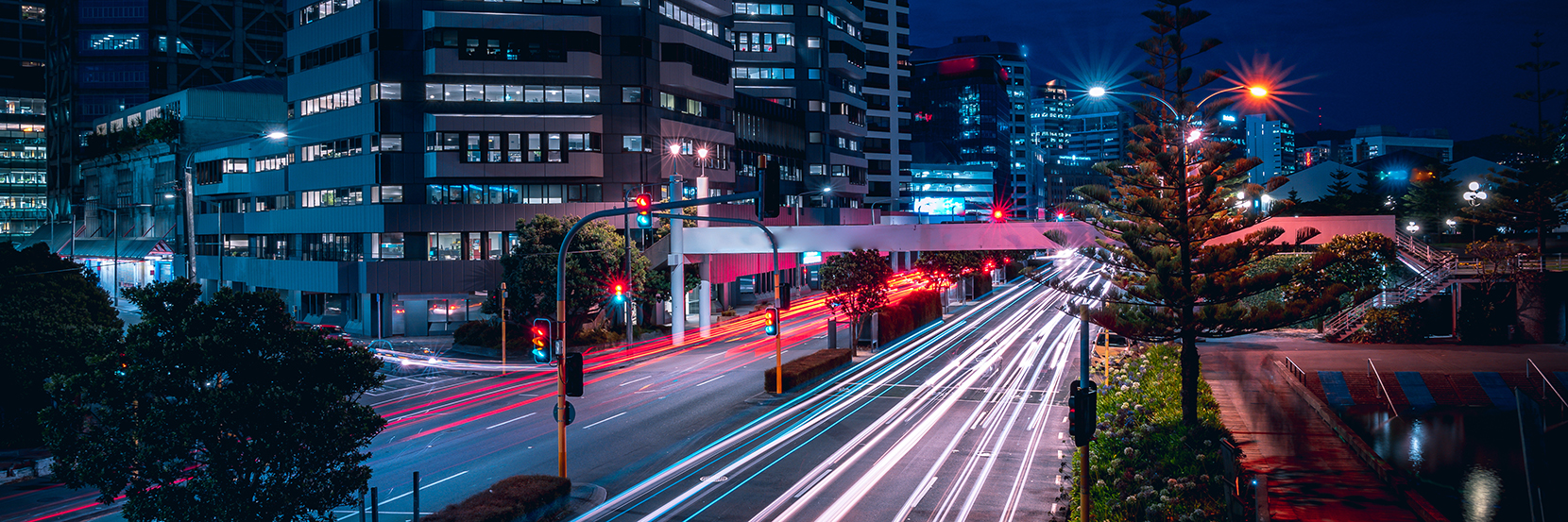 AA Member survey results: transport trends