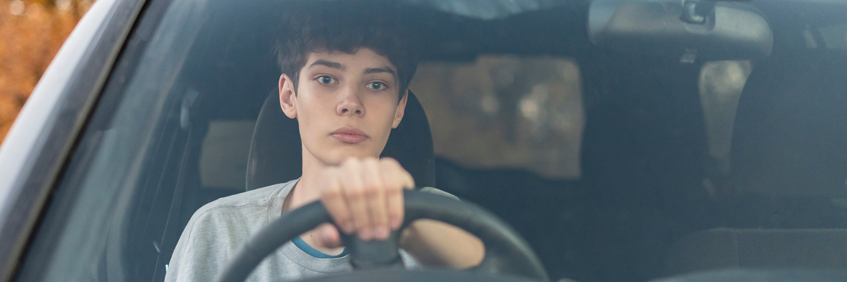 New Zealand Driver Licensing system changes