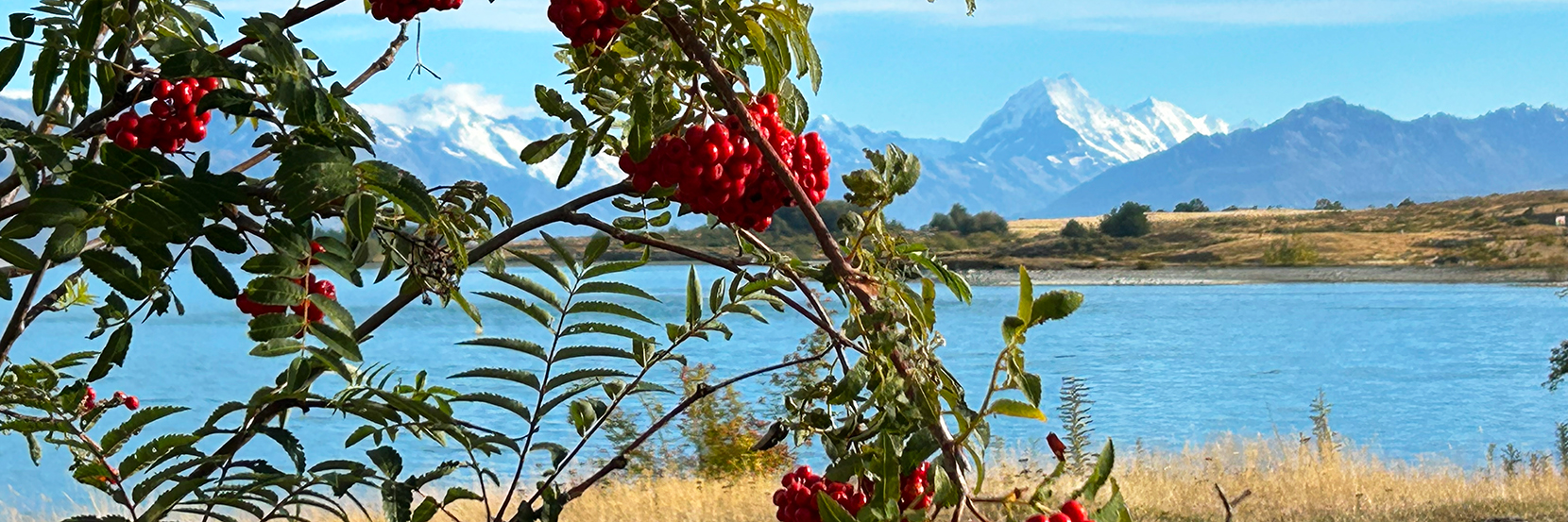 Cycling the epic Alps to Ocean trail